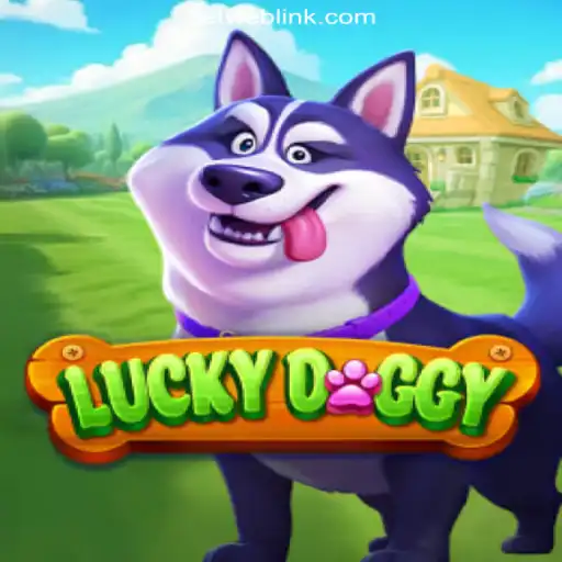 Experience the Thrill of